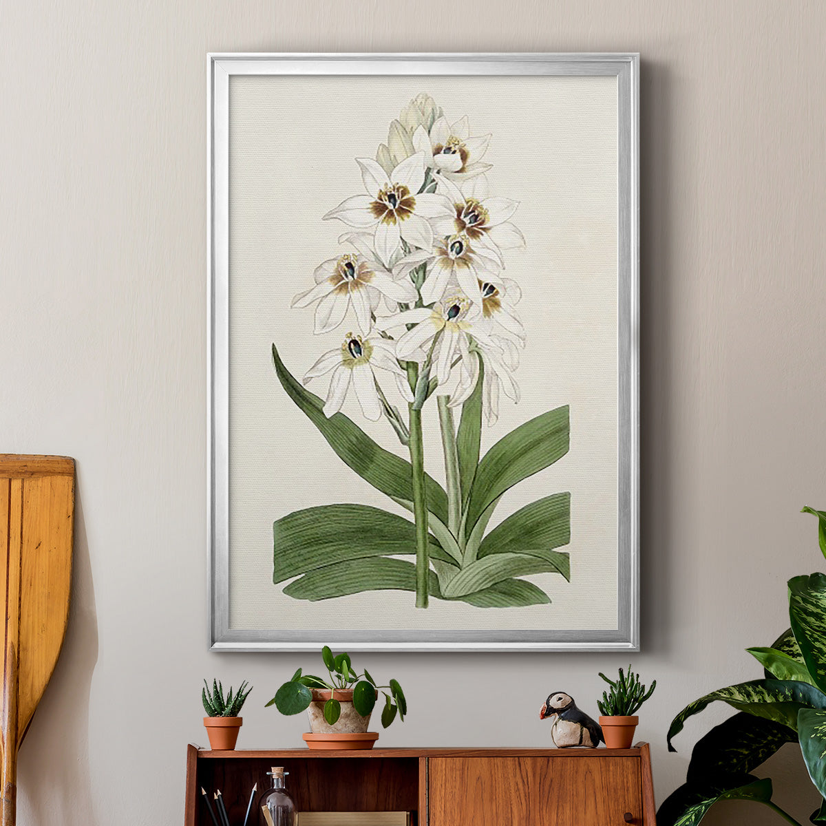 Flore Albo I - Modern Framed Canvas Print