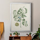 Buchoz Tropicals V - Modern Framed Canvas Print