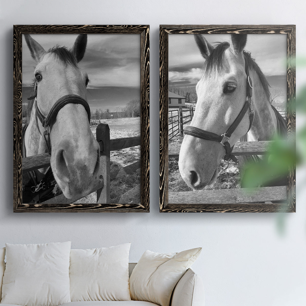 Set of two black barnwood framed canvas prints depicting bridled faces, wooden rails, and softly blurred farm backgrounds arranged across two complementary compositions above a sofa in a bright living space.