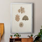 Knorr Shells & Coral VIII - Modern Framed Canvas Print