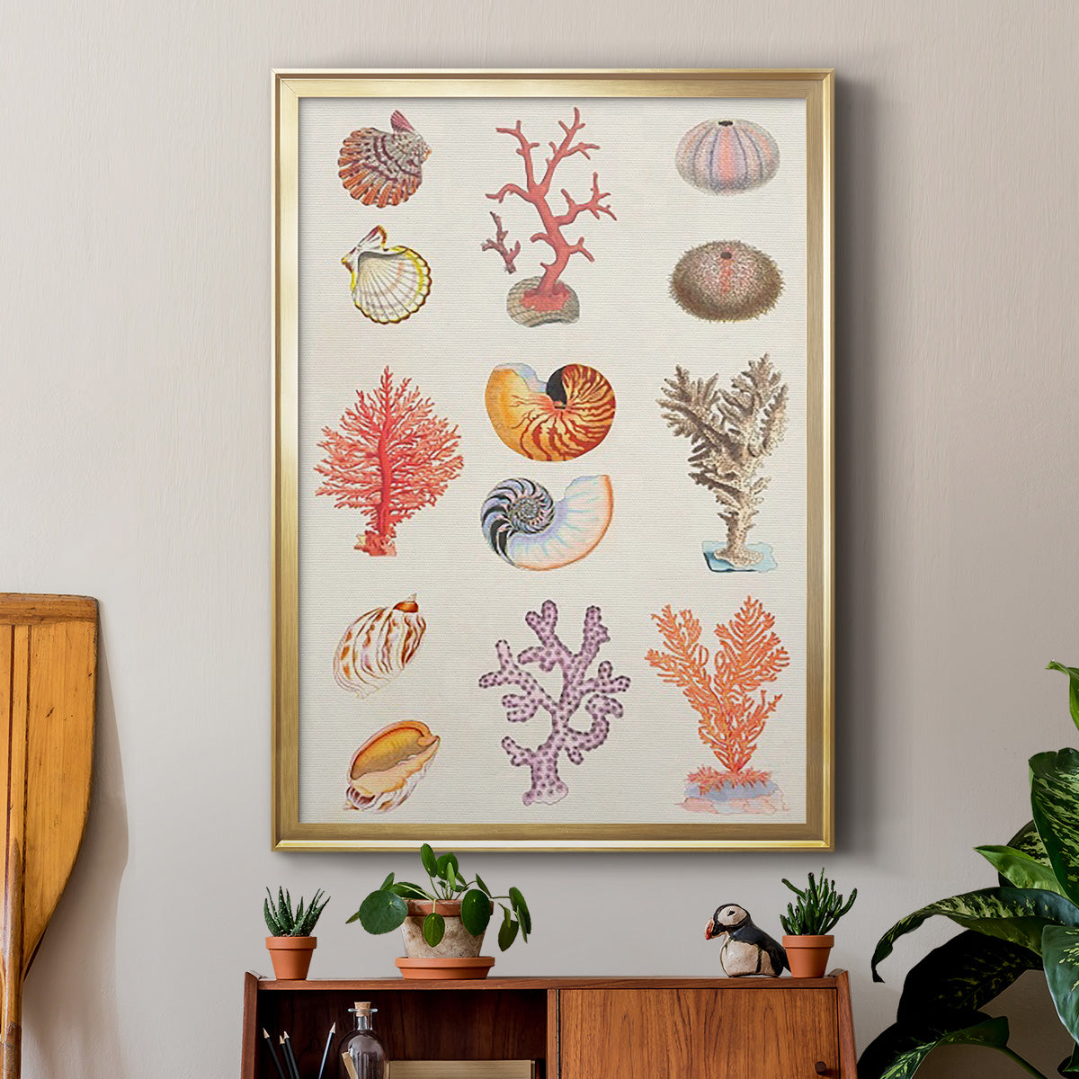 Coral & Shell Collage I -  Framed Canvas Print