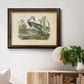 Audubons Louisiana Heron Premium Framed Canvas- Ready to Hang