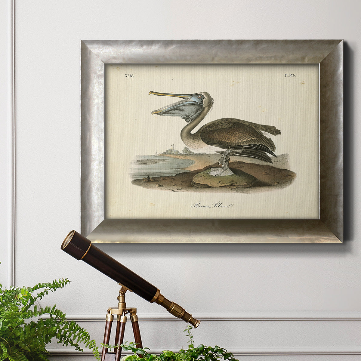 Audubons Brown Pelican - Ornate Framed Canvas Print
