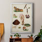 Mushroom Species IX - Modern Framed Canvas Print