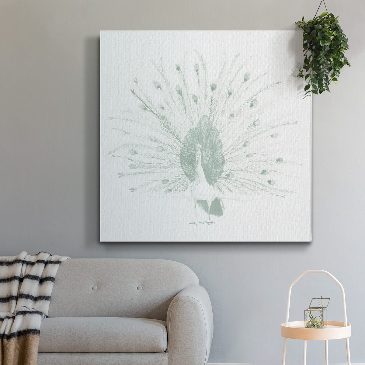 Sage Peacock II - Canvas Art Print