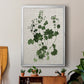 Forest Foliage on Linen III - Modern Framed Canvas Print