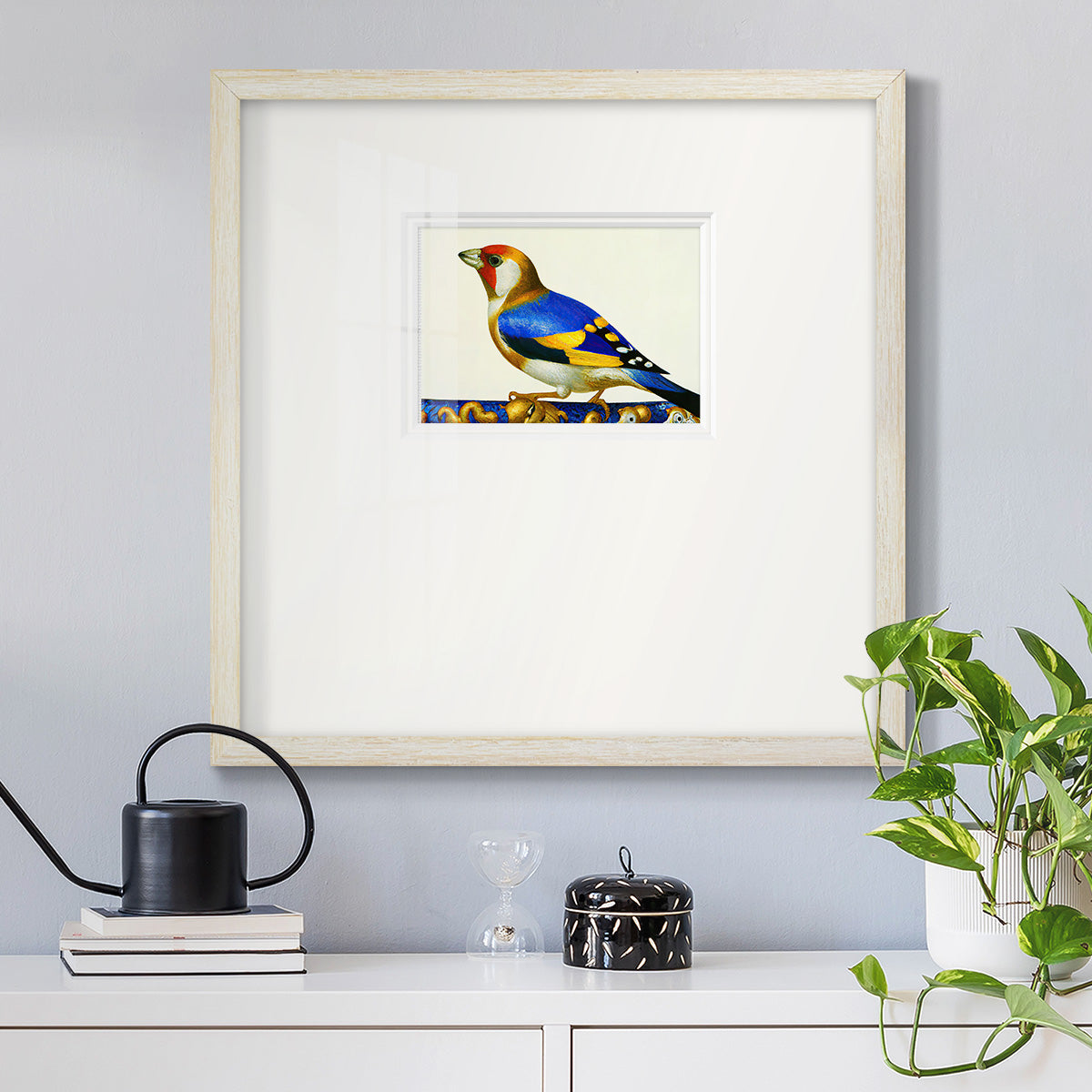 Blue Gold Finch Premium Framed Print Double Matboard