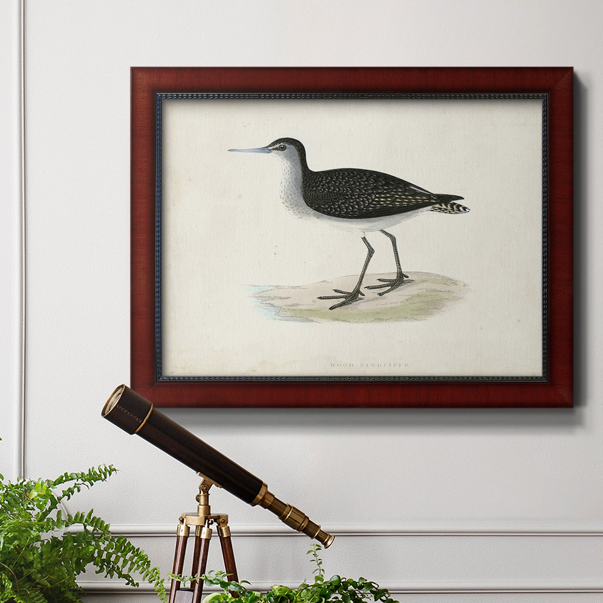 Morris Sandpipers VIII Premium Framed Canvas- Ready to Hang