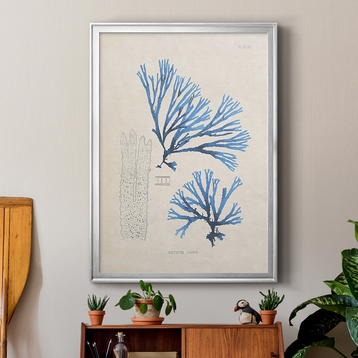 Blue Marine Algae V - Modern Framed Canvas Print