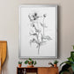 Wild Poppy Sketch - Modern Framed Canvas Print