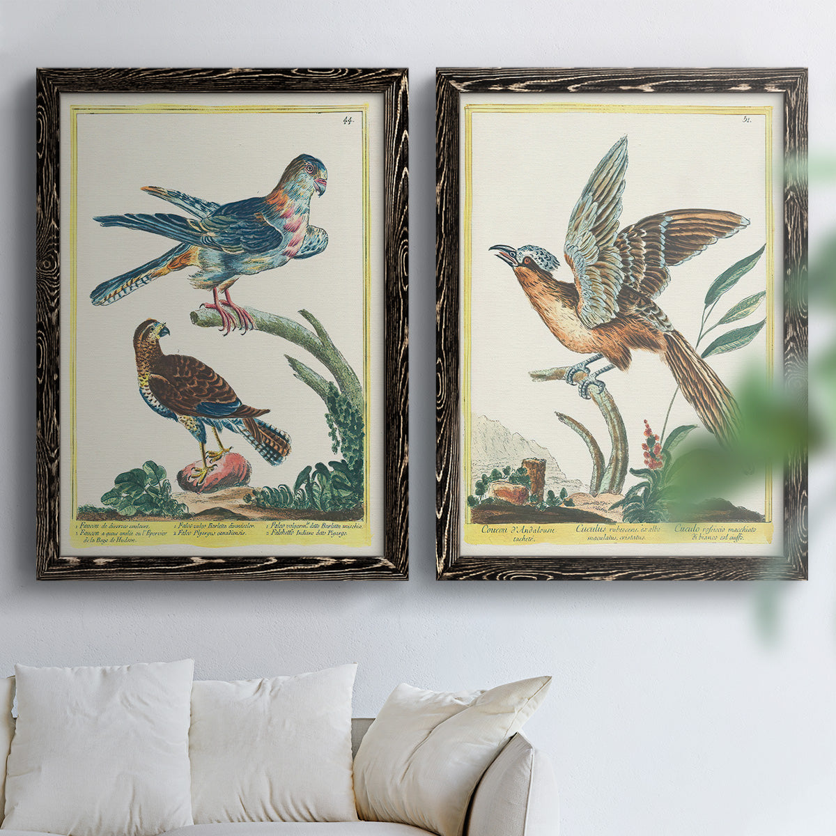 Set of two black barnwood framed canvas prints depicting soft clustered strokes, hazy edges, and spacious white fields arranged across two complementary compositions above a sofa in a bright living space.