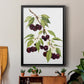 Watercolor Cherries - Modern Framed Canvas Print