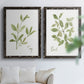 Herb Sage - Premium Framed Canvas 2 Piece Set - Ready to Hang