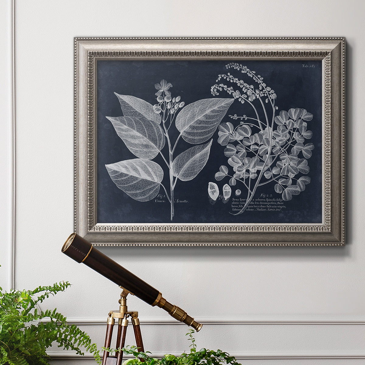Decorative botanical foliage drawing on navy background in an ornate vintage silver frame displayed in a light-toned interior setting.