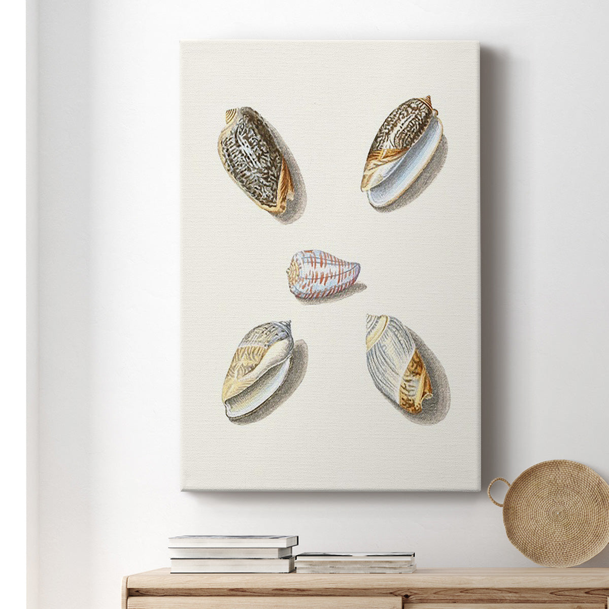 Pastel Knorr Shells III - Canvas Art Print