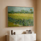 Field with Irises near Arles, 1888 - Floater Framed Canvas Print