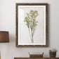 Farmhouse Pressed Flower II - Barnwood Framed Art Print