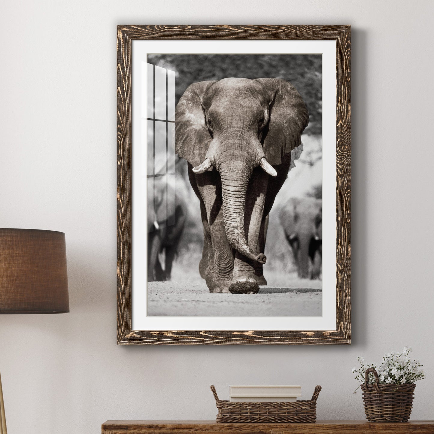 Botswana Patriarch - Premium Framed Print - Distressed Barnwood Frame - Ready to Hang