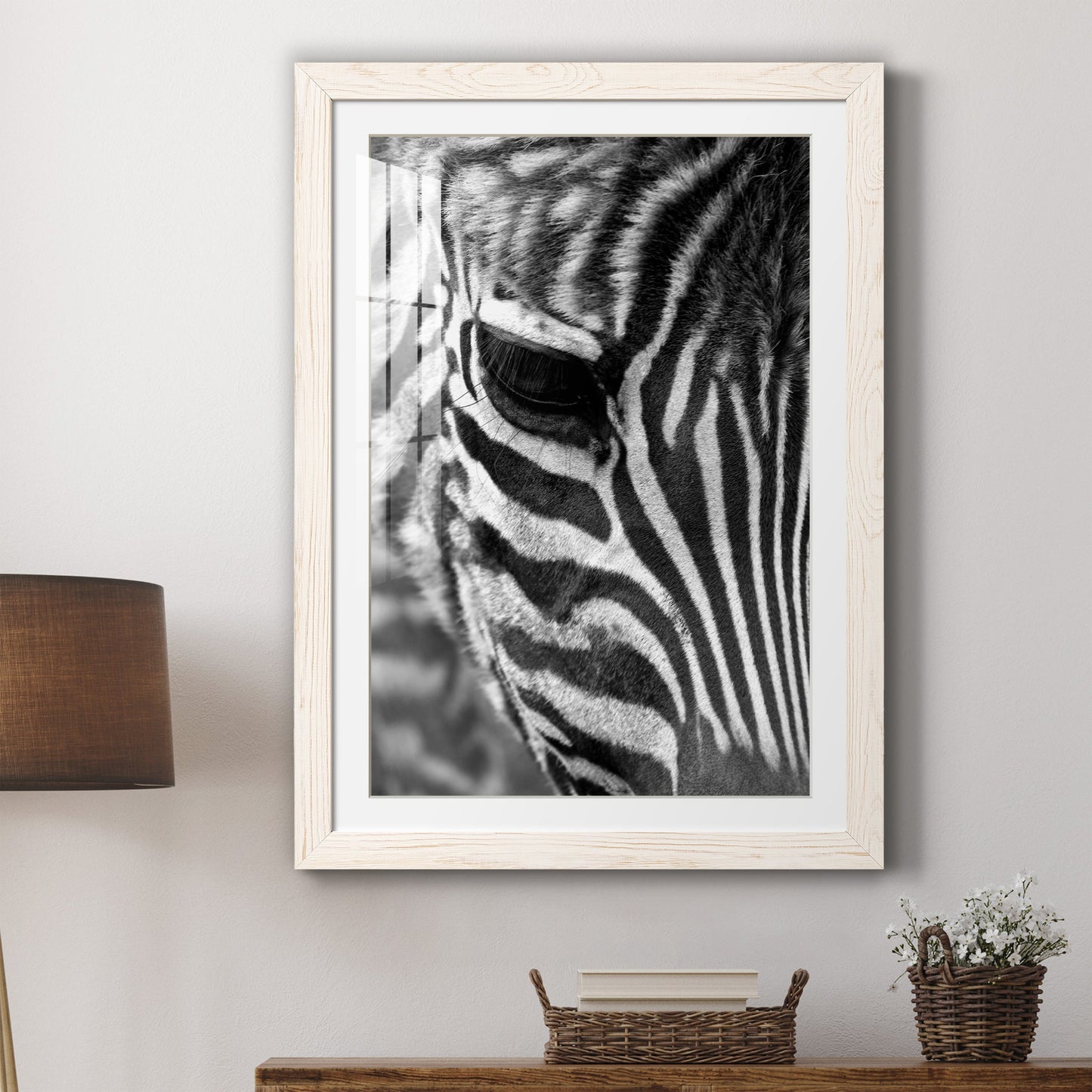 Zebra Colt - Premium Framed Print - Distressed Barnwood Frame - Ready to Hang