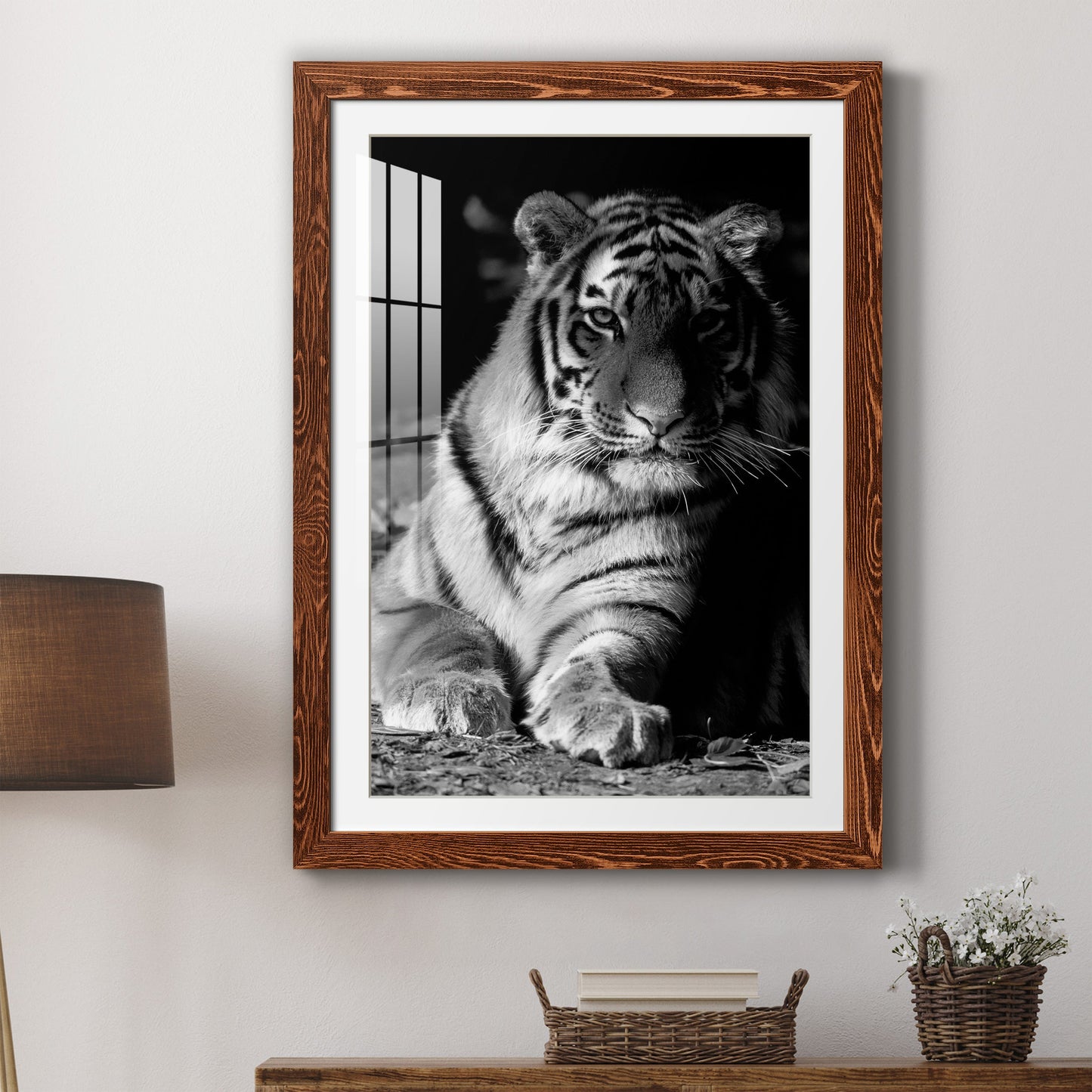 Tiger Repose - Premium Framed Print - Distressed Barnwood Frame - Ready to Hang