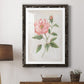 Grandiflora II - Premium Framed Print - Distressed Barnwood Frame - Ready to Hang