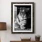 Tiger Repose - Premium Framed Print - Distressed Barnwood Frame - Ready to Hang