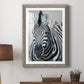 Namibia Zebra - Premium Framed Print - Distressed Barnwood Frame - Ready to Hang