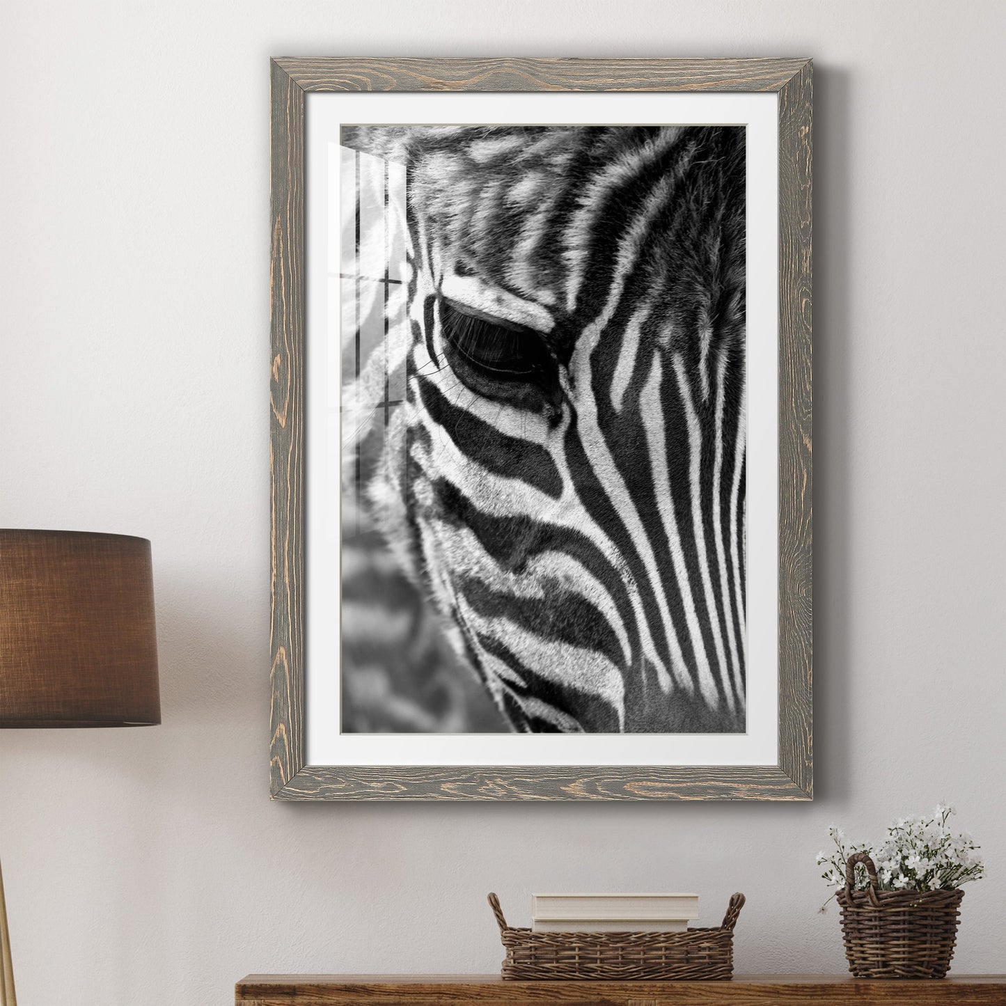 Zebra Colt - Premium Framed Print - Distressed Barnwood Frame - Ready to Hang