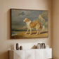 Rough-Coated Collie, 1809 - Floater Framed Canvas Print