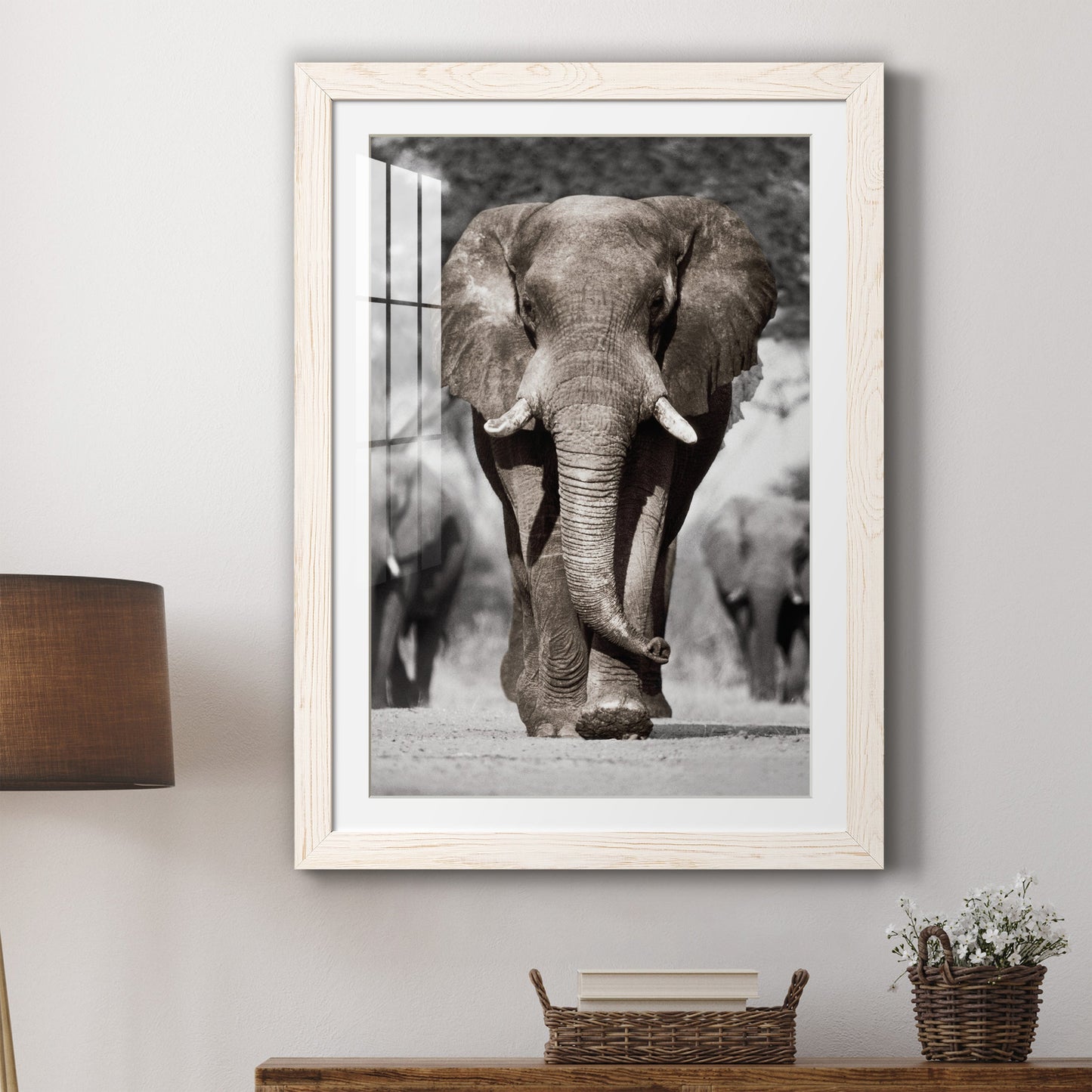 Botswana Patriarch - Premium Framed Print - Distressed Barnwood Frame - Ready to Hang