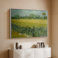 Field with Irises near Arles, 1888 - Floater Framed Canvas Print
