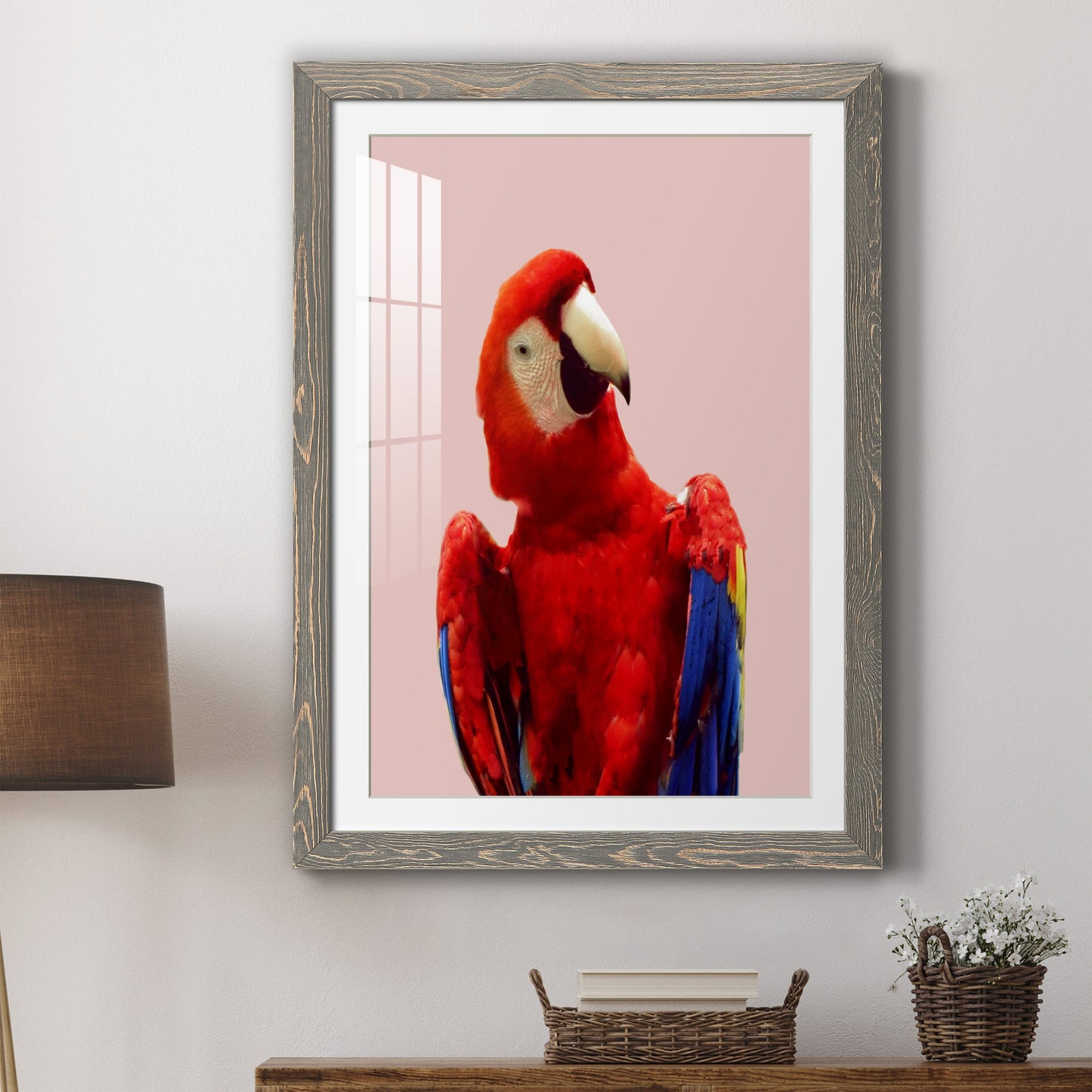 Honduras Wildlife - Premium Framed Print - Distressed Barnwood Frame - Ready to Hang