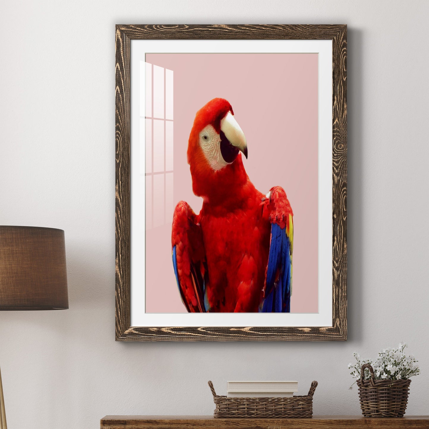 Honduras Wildlife - Premium Framed Print - Distressed Barnwood Frame - Ready to Hang