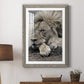 Sleepy Afternoon in Masai Mara - Premium Framed Print - Distressed Barnwood Frame - Ready to Hang