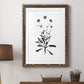 Inky Botanical I - Premium Framed Print - Distressed Barnwood Frame - Ready to Hang