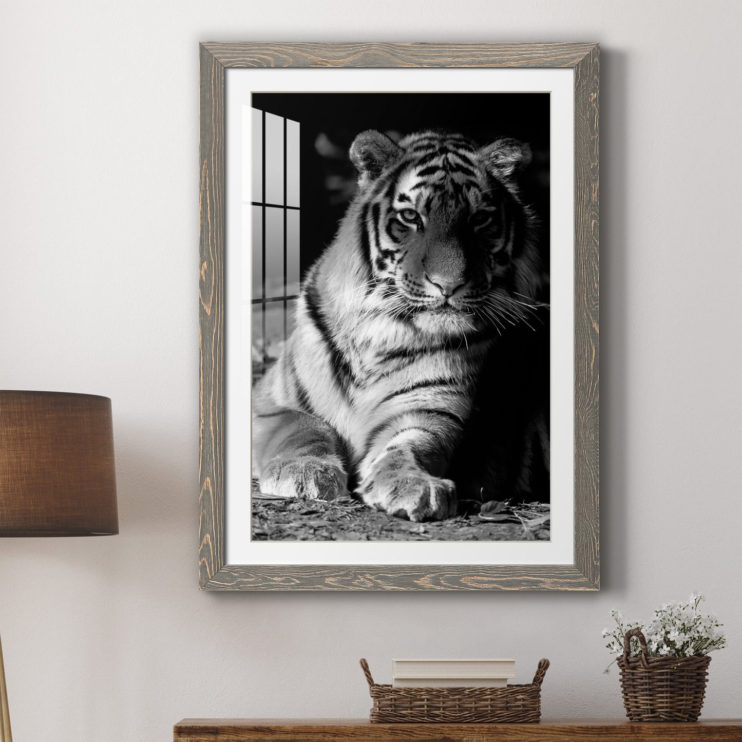 Tiger Repose - Premium Framed Print - Distressed Barnwood Frame - Ready to Hang