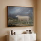 A Border Leicester Ewe, c. 1795-1800 - Floater Framed Canvas Print