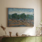 Olive Trees, 1889 - Floater Framed Canvas Print