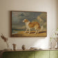 Rough-Coated Collie, 1809 - Floater Framed Canvas Print