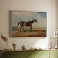 Dr. Syntax, a Bay Racehorse, Standing in a Coastal Landscape, an Estuary Beyond, c. 1820 - Floater Framed Canvas Print