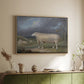A Border Leicester Ewe, c. 1795-1800 - Floater Framed Canvas Print
