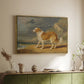 Rough-Coated Collie, 1809 - Floater Framed Canvas Print
