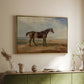 Dr. Syntax, a Bay Racehorse, Standing in a Coastal Landscape, an Estuary Beyond, c. 1820 - Floater Framed Canvas Print