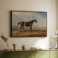 Dr. Syntax, a Bay Racehorse, Standing in a Coastal Landscape, an Estuary Beyond, c. 1820 - Floater Framed Canvas Print