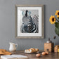 Namibia Zebra - Premium Framed Print - Distressed Barnwood Frame - Ready to Hang