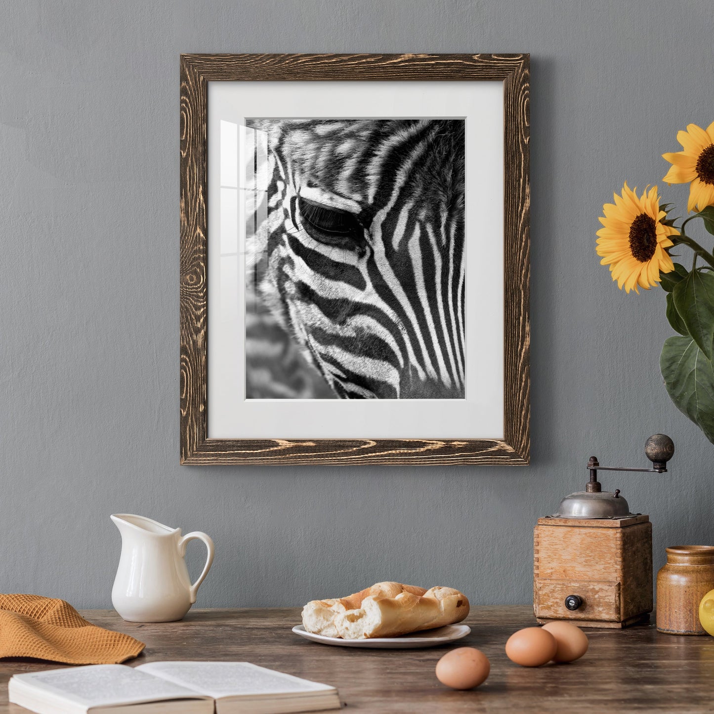 Zebra Colt - Premium Framed Print - Distressed Barnwood Frame - Ready to Hang