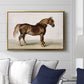 A Cart-Horse - Floater Framed Canvas Print