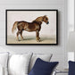 A Cart-Horse - Floater Framed Canvas Print