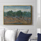 Olive Trees, 1889 - Floater Framed Canvas Print