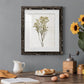 Farmhouse Pressed Flower II - Barnwood Framed Art Print